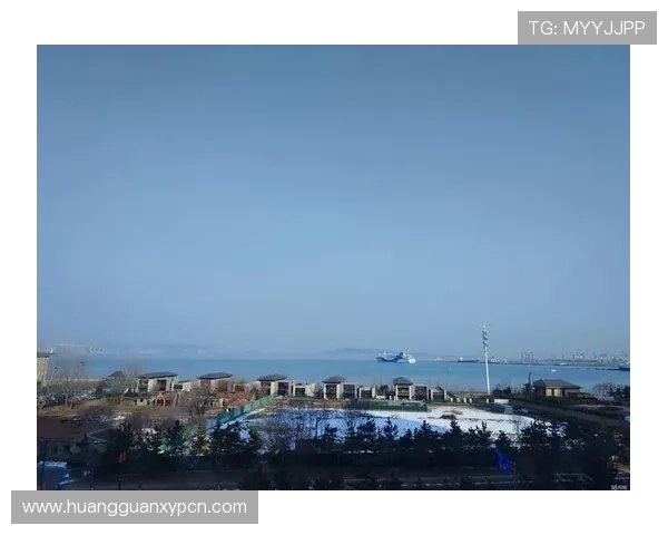 皇冠国际二手房最新房源信息全景展示,优质房源一站式掌握 皇冠国际二手房最新房源信息全景展示,优质房源一站式掌握