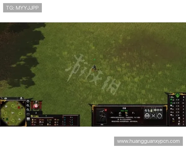 皇冠手机网登入网址官方入口，全面解析登录流程与注意事项