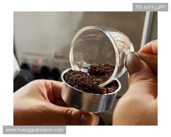 了解百宝来摩卡如何结合传统与现代，打造出令人难忘的咖啡体验