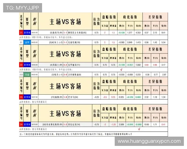 捷克对阵南非比赛比分最新更新全场比赛详细回顾与分析